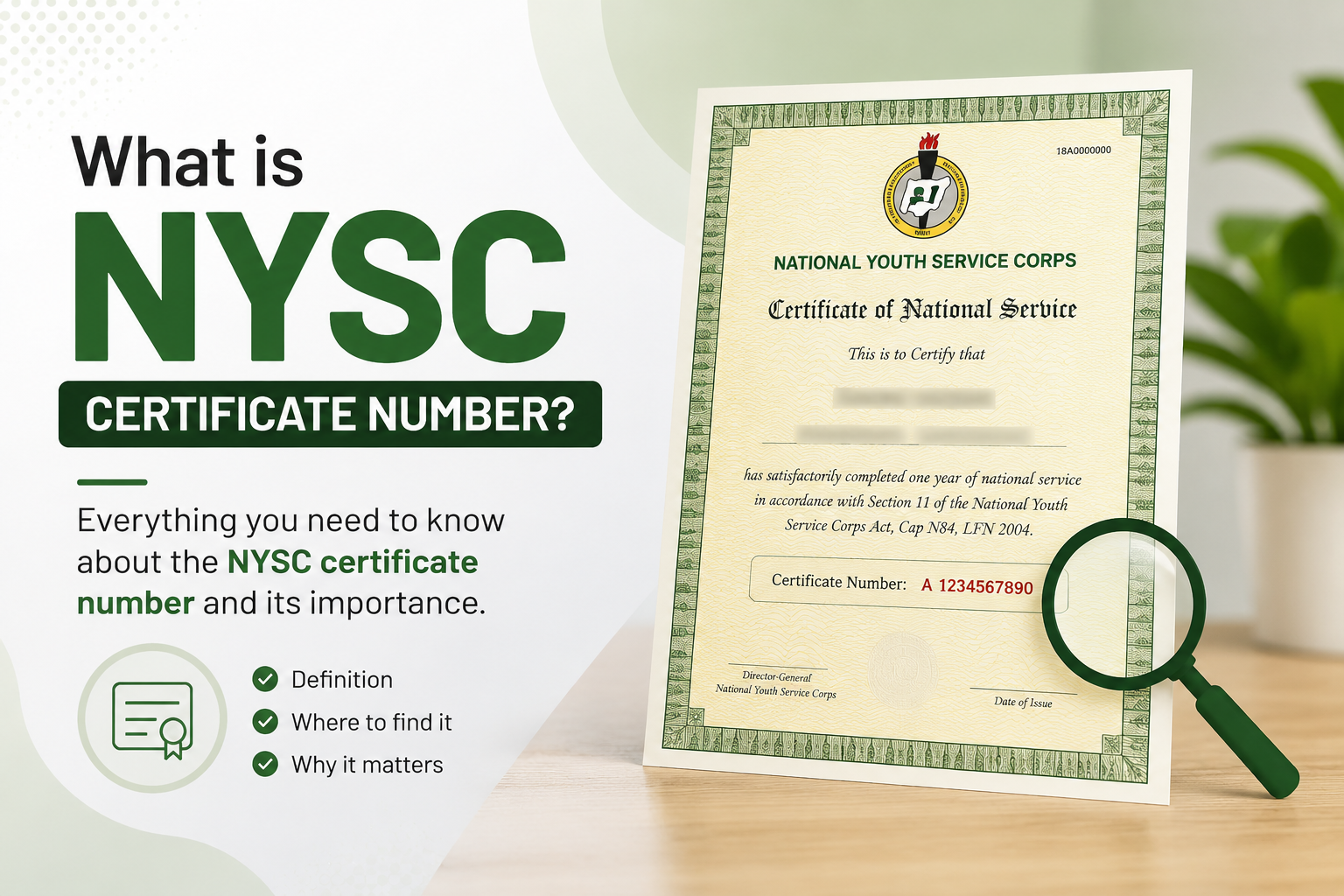 what is NYSC certificate number